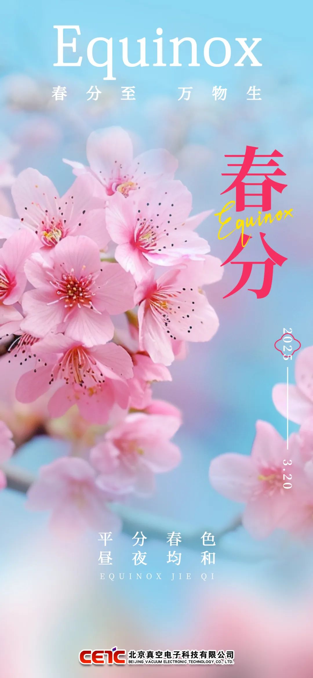 春分 · Spring Equinox - Blossoms on the road, spring colors